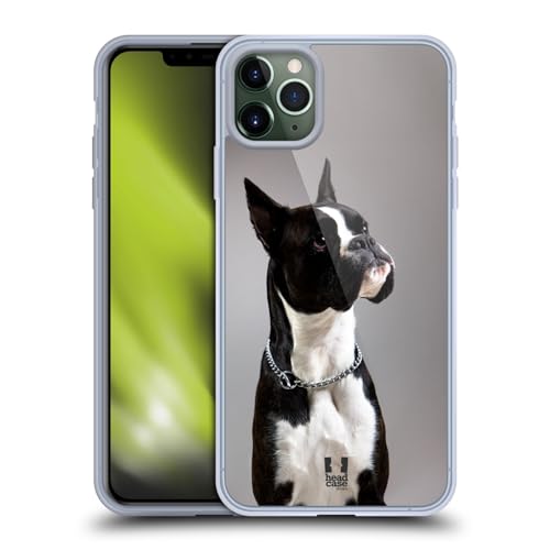 Black And White Dog Boxer