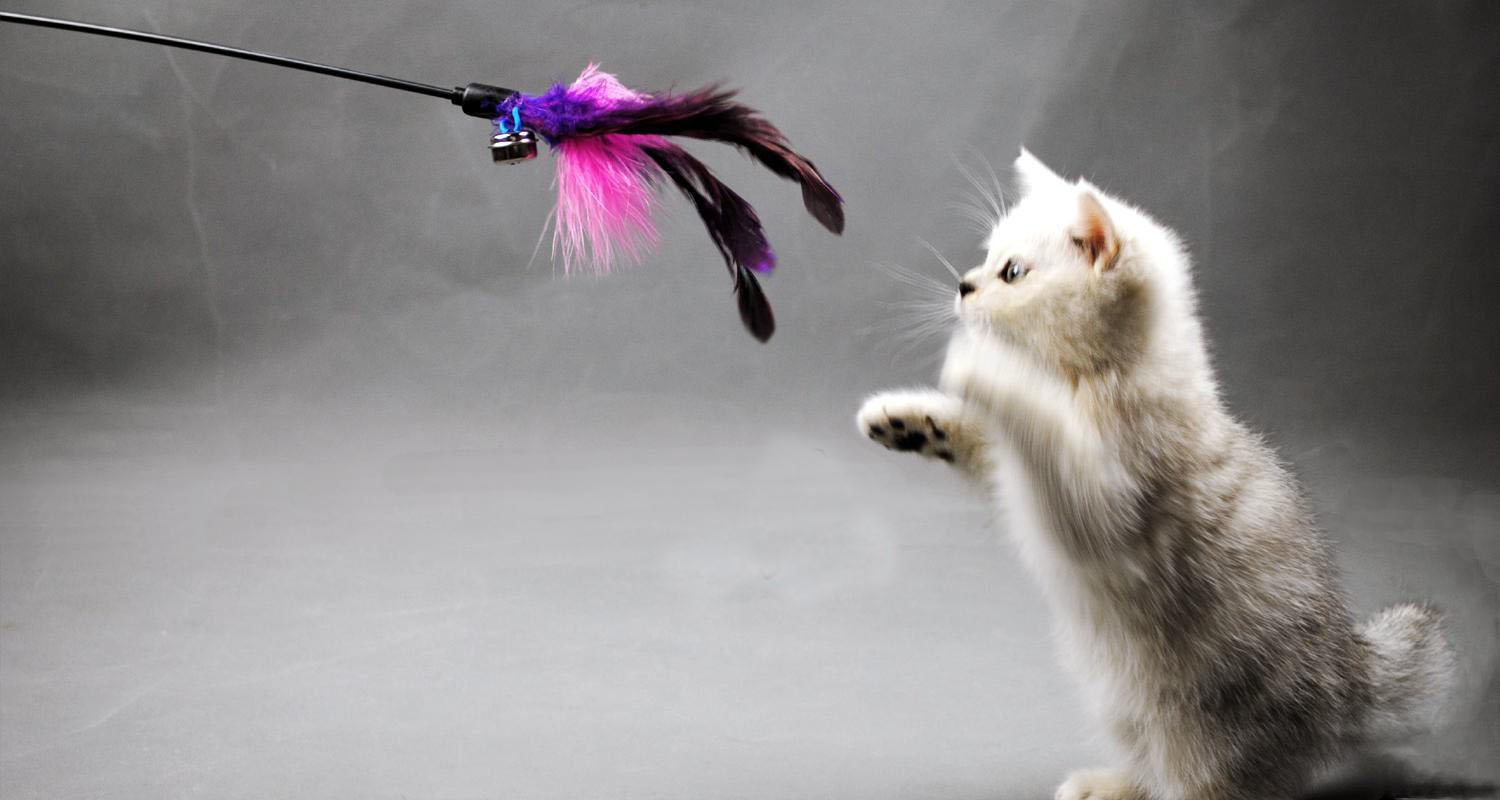 Interactive Cat Feather Teaser Toy Wand with Suction Cup & Replaceable Toys - Fun Exercise for Indoor Cats to Play Chase - Perfect for Playtime & Bonding (Colorful - Version 2)