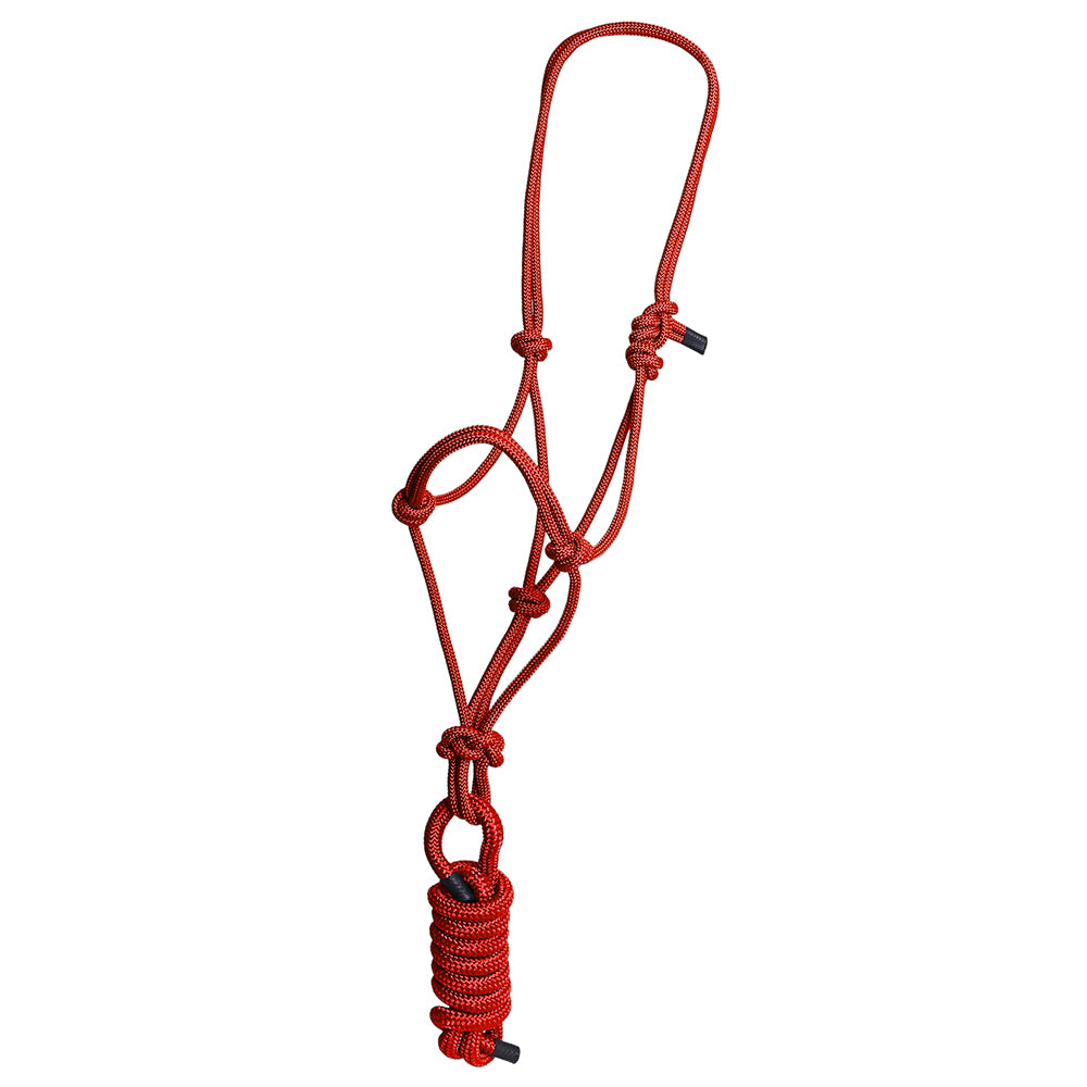 8 Ft Hilason Western Nylon Heavy Duty Horse Lead Rope Halter - Durable Multi-Colored Bridle for Training, Trail Riding & Ranch Work