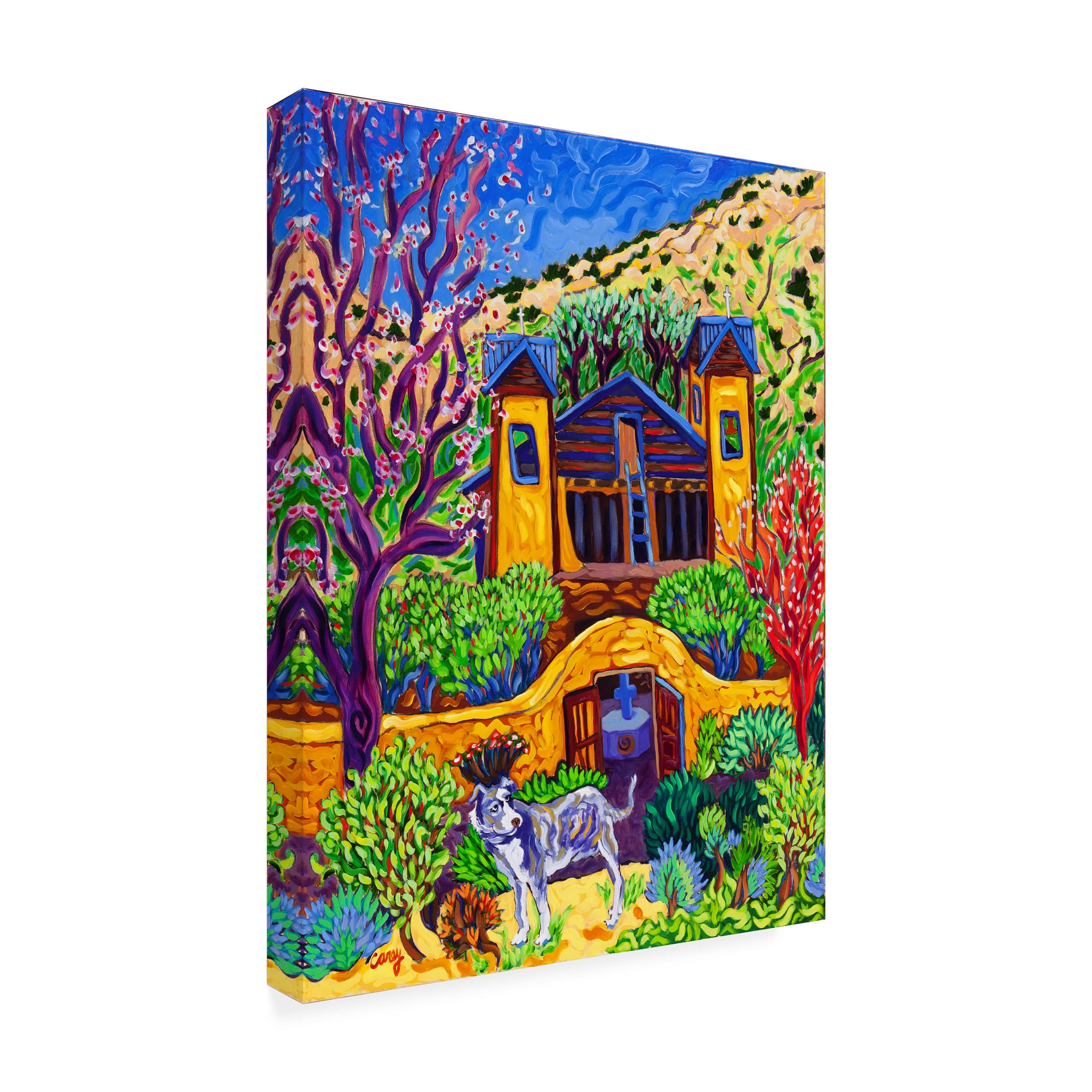 Trademark Fine Art 'The Chimayo Greeter' Canvas Wall Art by Cathy Carey - Southwestern Home Decor for Living Room, Bedroom & Office