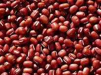 Heirloom Small Red Bean Seeds - Non-GMO, Organic, Bulk 1,000 Seeds for Home Gardening | Perfect for Soups, Stews & Vegetable Gardens - Seed Kingdom