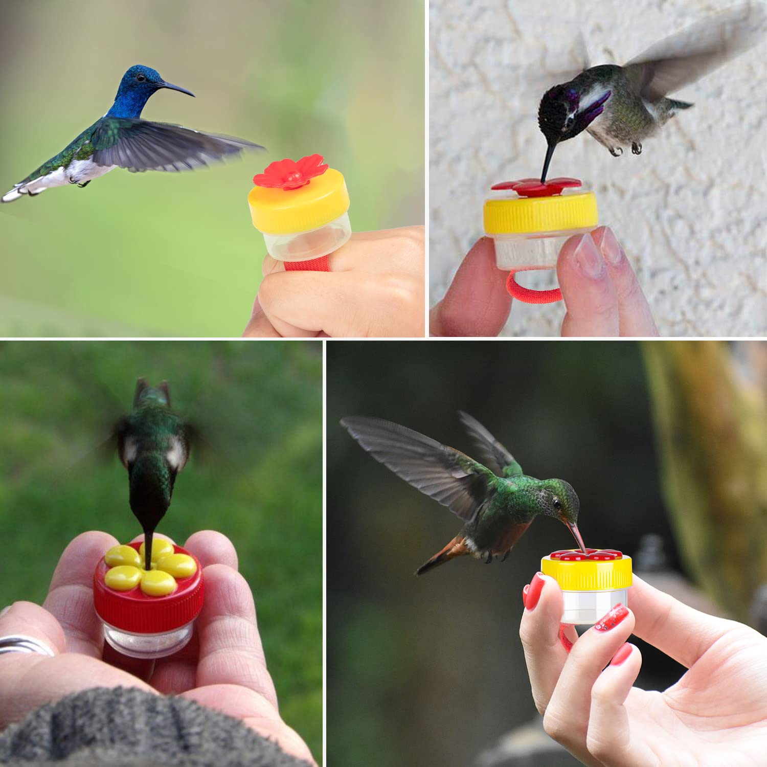 Handheld Hummingbird Feeder Kit - 4Pcs with Cleaning Brushes for Outdoor Bird Watching