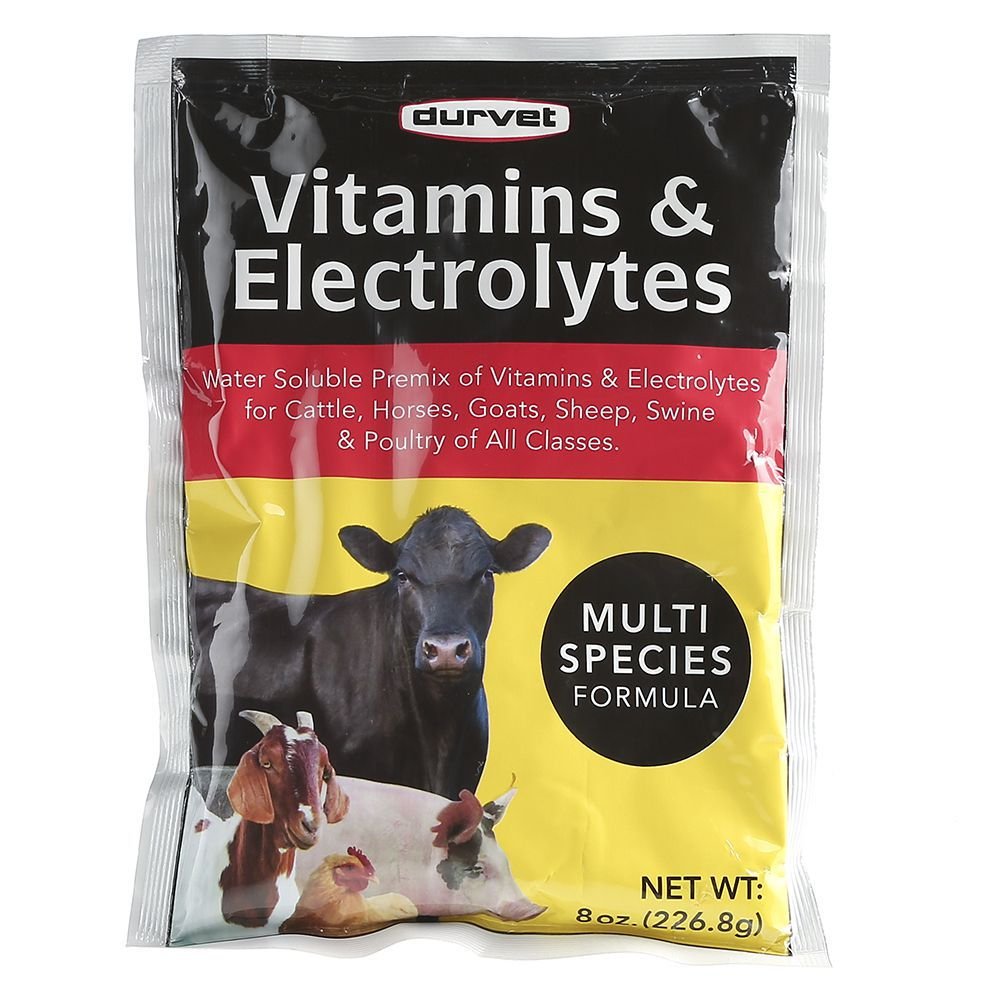 DURVET 136028 Horse Vitamins & Electrolytes Supplement - 8 oz Bottle for Equine Hydration & Recovery - Ideal for Performance Horses, Racing & Training