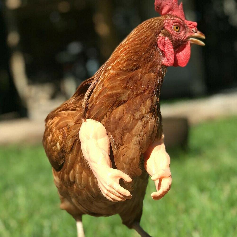 Funny Chicken Muscle Fist Toy - SXRC Rooster Costume Arms & Doll Hands for Hens - Prank Gift for Chicken Lovers - Perfect for Farm Pranks, Pet Costume Parties & Funny Decorations
