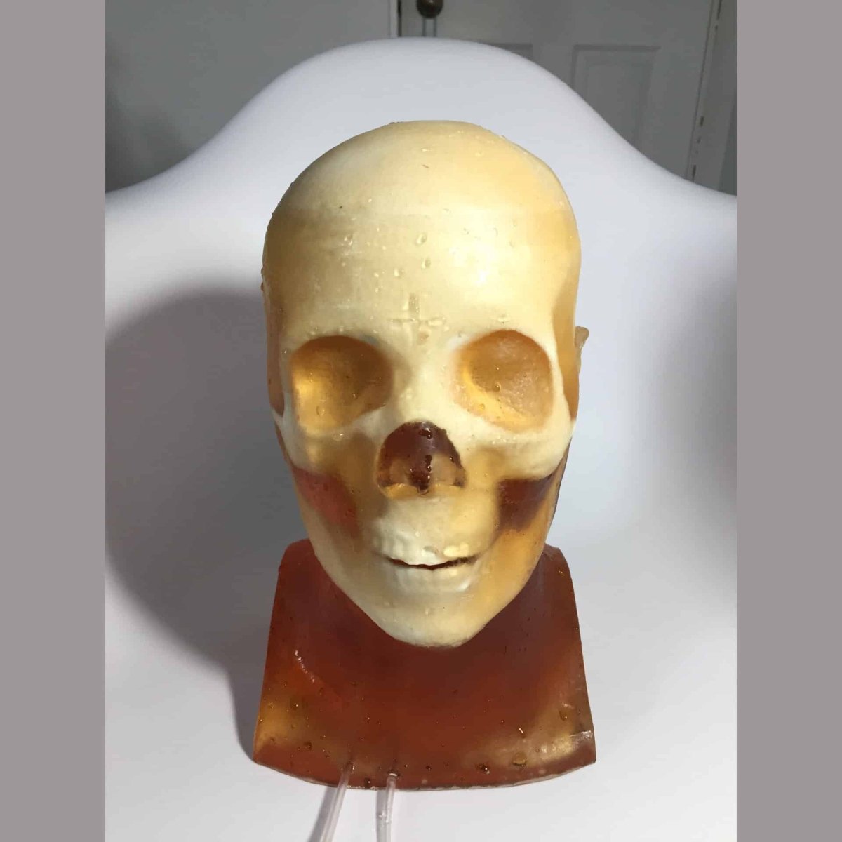 Hematoma Adult Head Phantom for X-Ray, CT, Ultrasound & MRI Training - Medical Imaging Practice for Radiology Students and Professionals