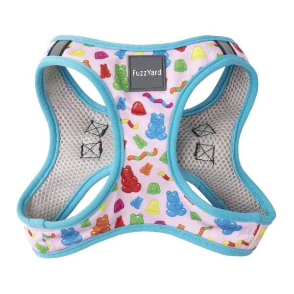 Fuzzyard Jelly Bears Dog Step-in Harness - Adjustable Soft Pet Vest for Small Medium Large Dogs (6 Sizes) | Perfect for Walking, Training & Outdoor Adventures