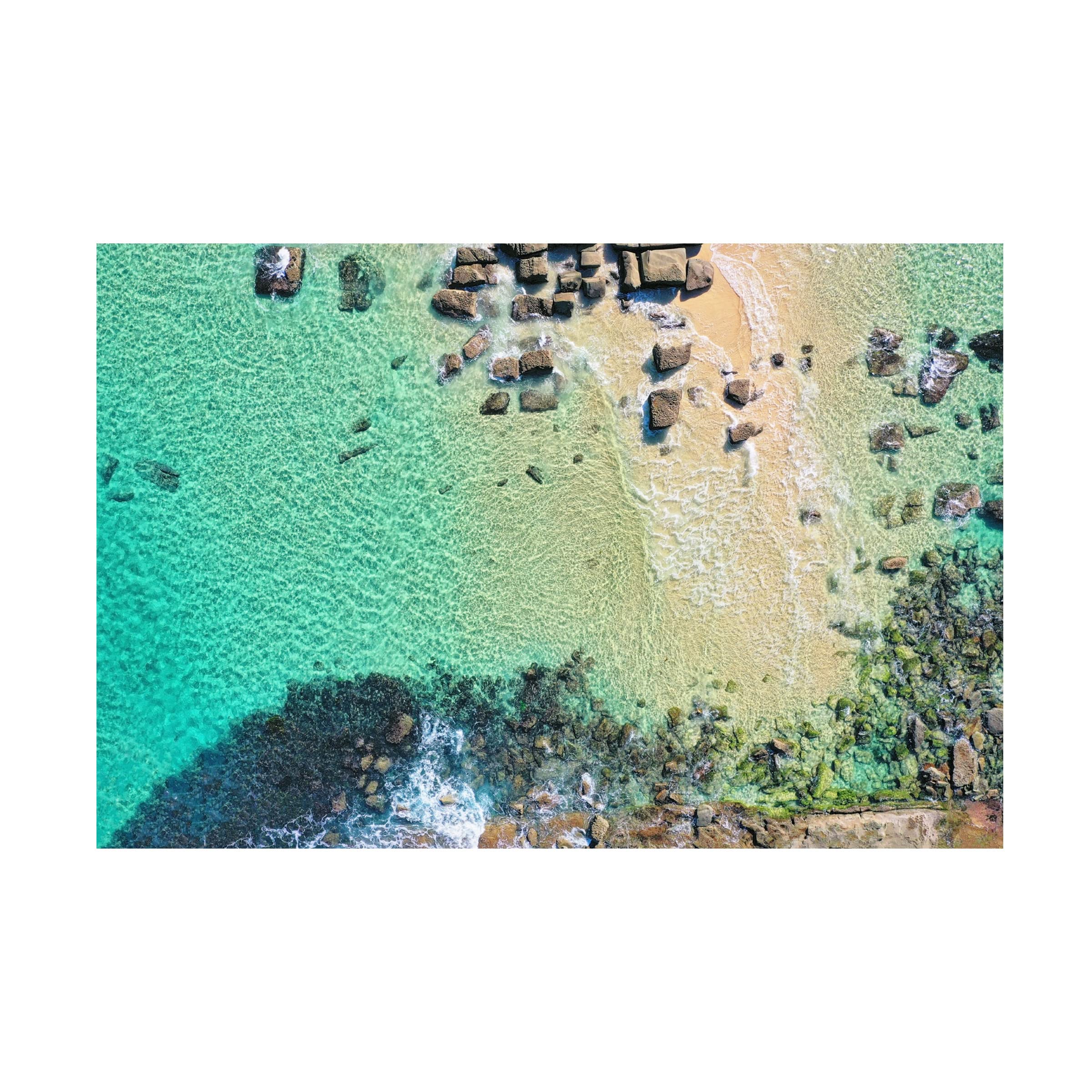 Trademark Fine Art 'Art Of The Ocean' Canvas Wall Art by Beata Czyzowska Young - Stunning Coastal Decor for Living Room, Bedroom & Office