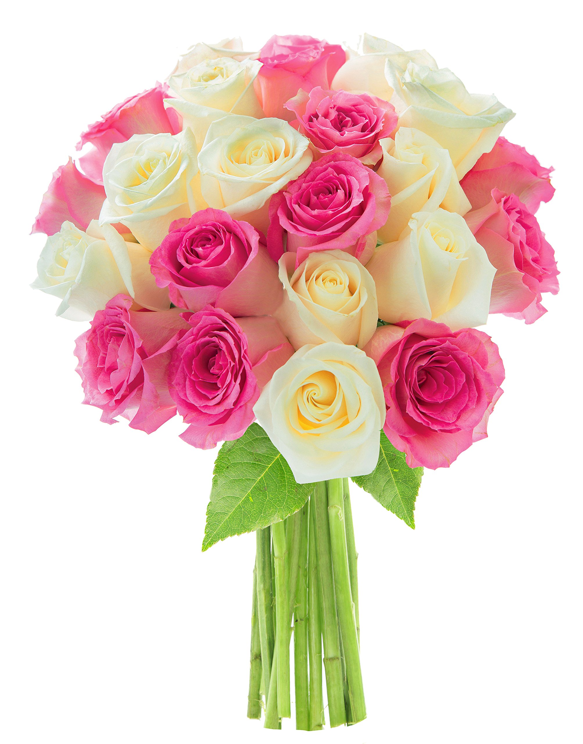 KaBloom PRIME NEXT DAY DELIVERY - 24 Long Stem Pink & White Roses Bouquet | Fresh Flowers for Birthday, Anniversary, Valentine's Day, Mother's Day | Perfect Gift for Sympathy, Get Well, Thank You | Home Decor, Wedding Centerpiece, Romantic Surprise
