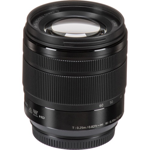 Panasonic Lumix G Vario 12-60mm f/3.5-5.6 ASPH. POWER O.I.S. Lens - Professional Micro Four Thirds Camera Lens for Travel, Landscape & Portrait Photography