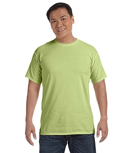 Comfort Colors Men's Short Sleeve T-Shirt Style 1717 - Soft Cotton Crew Neck Tee for Casual Wear & Everyday Outfits