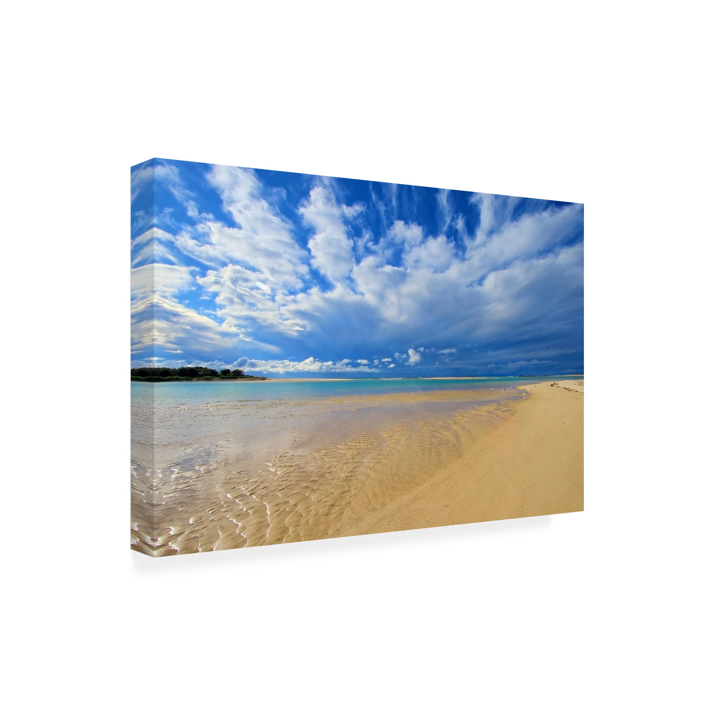 Beach Vibes Canvas Wall Art by Beata Czyzowska - Coastal Decor for Living Room, Bedroom & Office - Trademark Fine Art Collection