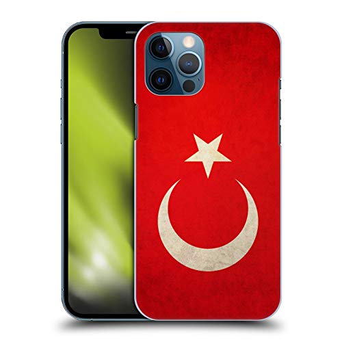 Flag of Turkey Turkish Türk