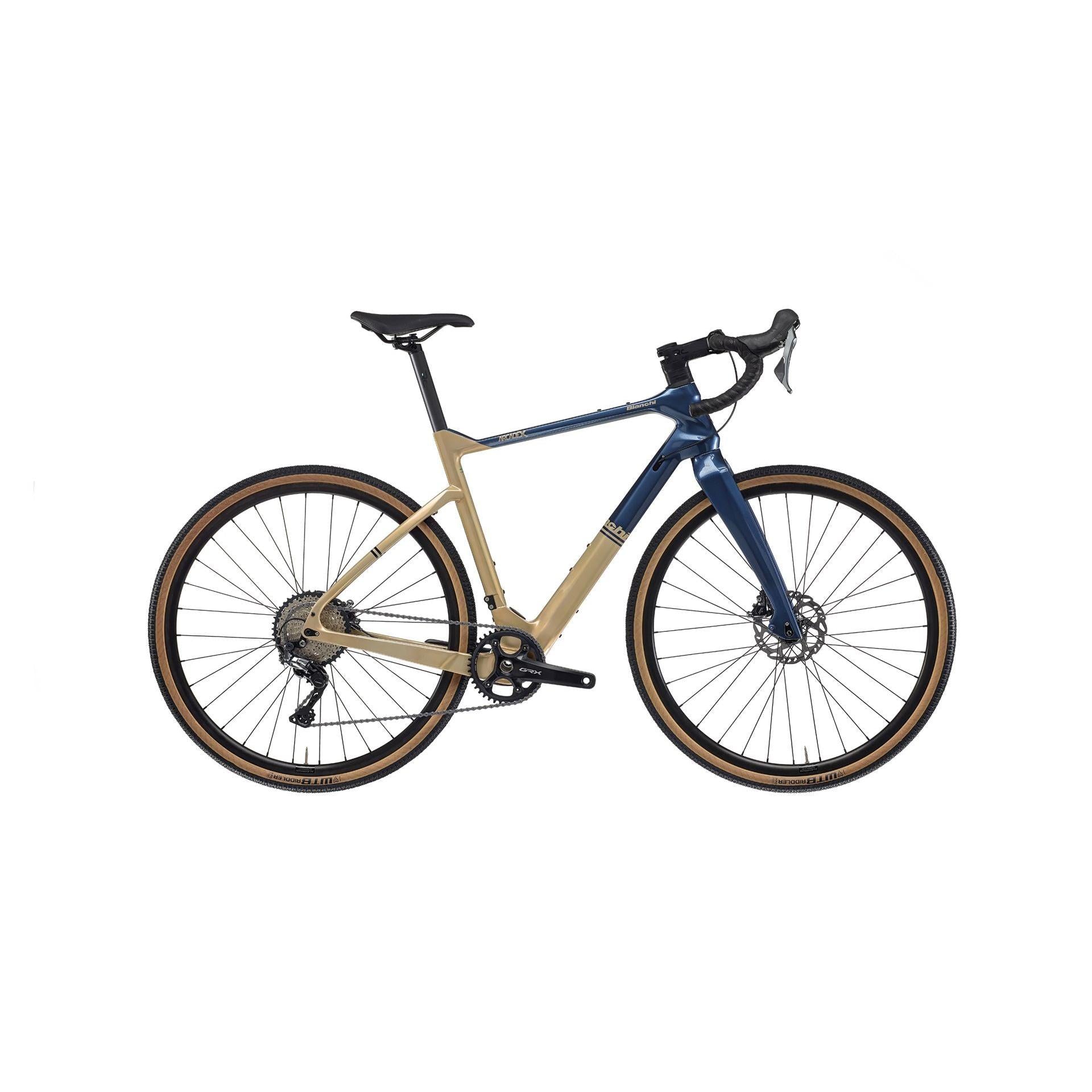 Gold/Blue
