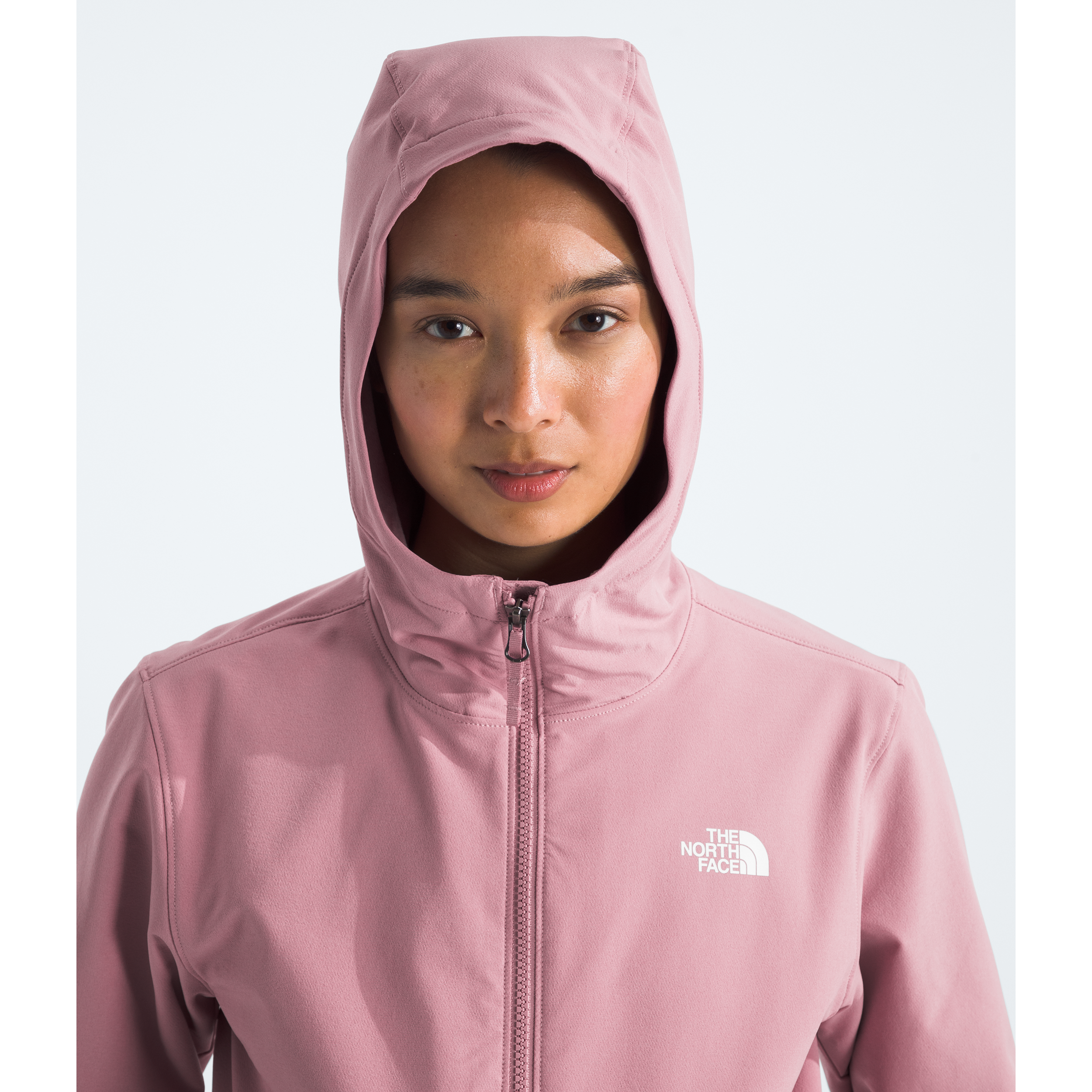 The North Face Women's Shelbe Raschel Hoodie - Lightweight Fleece Pullover for Hiking & Outdoor Activities | Warm Winter Layering Jacket for Camping & Travel