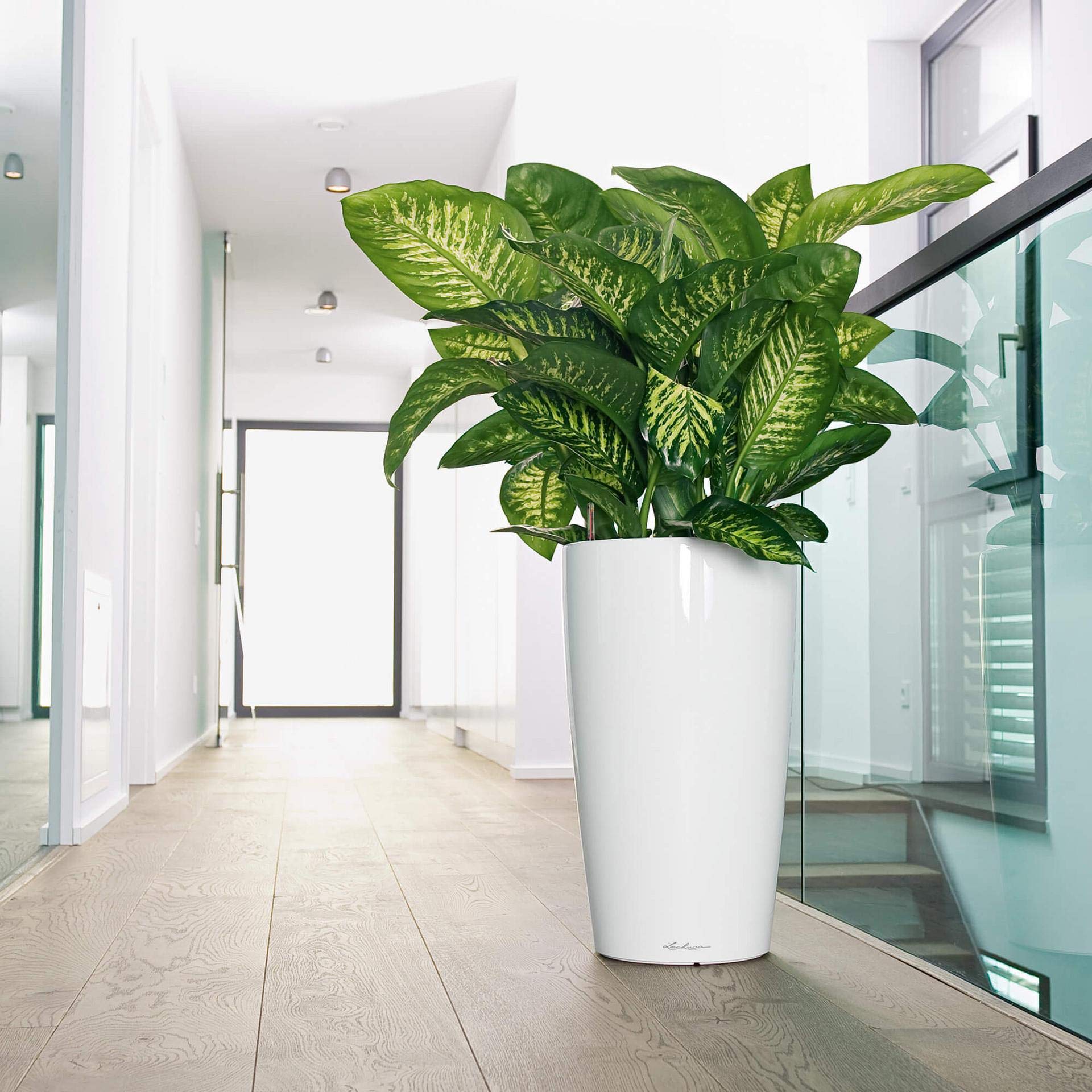 Lechuza Rondo 40 Self-Watering Planter - Large Indoor/Outdoor Garden Flower Pot with Drainage Hole & Substrate - 40cm Polyresin Floor Planter (75cm Height, Silver Metallic) - Perfect for Living Room, Patio, or Office Decor