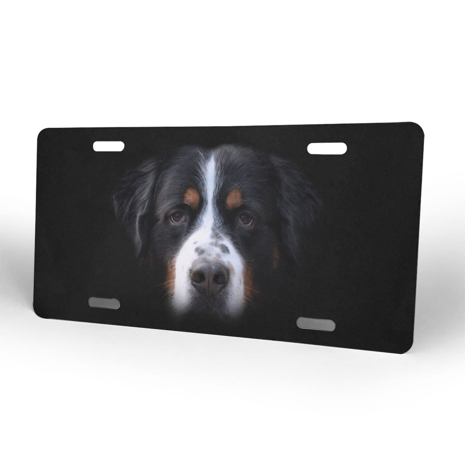 Bernese Mountain Dog Aluminum License Plate - 6x12 Inch Rust-Proof Metal Car Tag for Men, Women, Boys & Girls - Perfect for Trucks, SUVs & Classic Cars