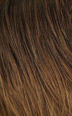Tipped Off Black and Honey Blonde T1B/27