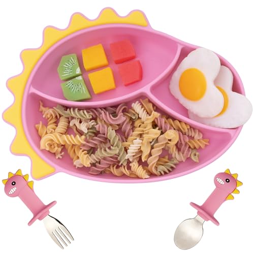 Pink Dinosaur plate Stainless Sets