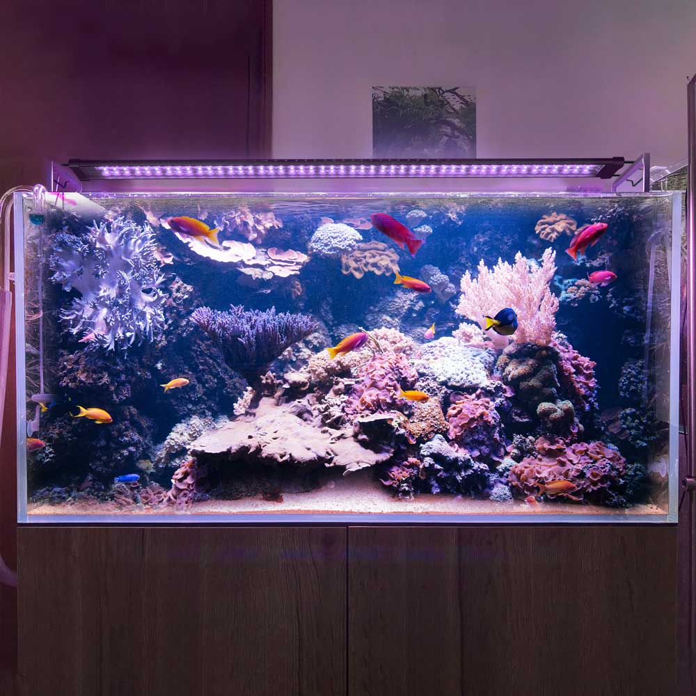 AquaBasik LED Aquarium Light for Plants & Reef - Full Spectrum RGBW Lighting System - Perfect for 44-55 Gallon Fish Tanks (Ideal for Freshwater & Saltwater Aquariums, Coral Growth & Planted Tanks)