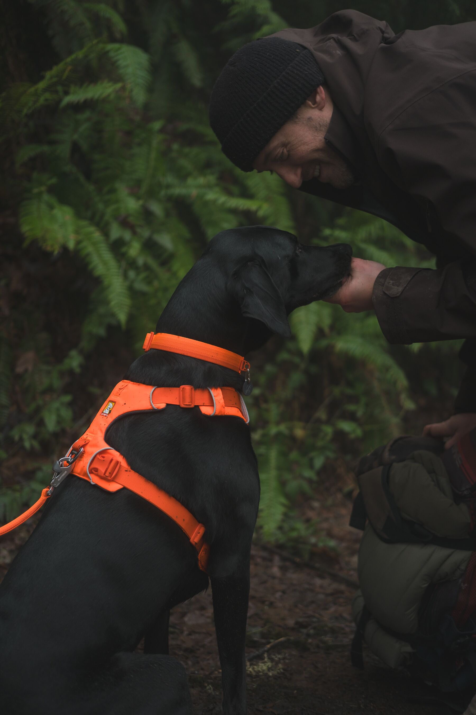 Ruffwear Front Range Dog Harness - Blaze Orange Reflective Vest for Medium & Large Dogs | Perfect for Hiking, Running & Outdoor Adventures