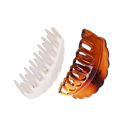 White & Shell
