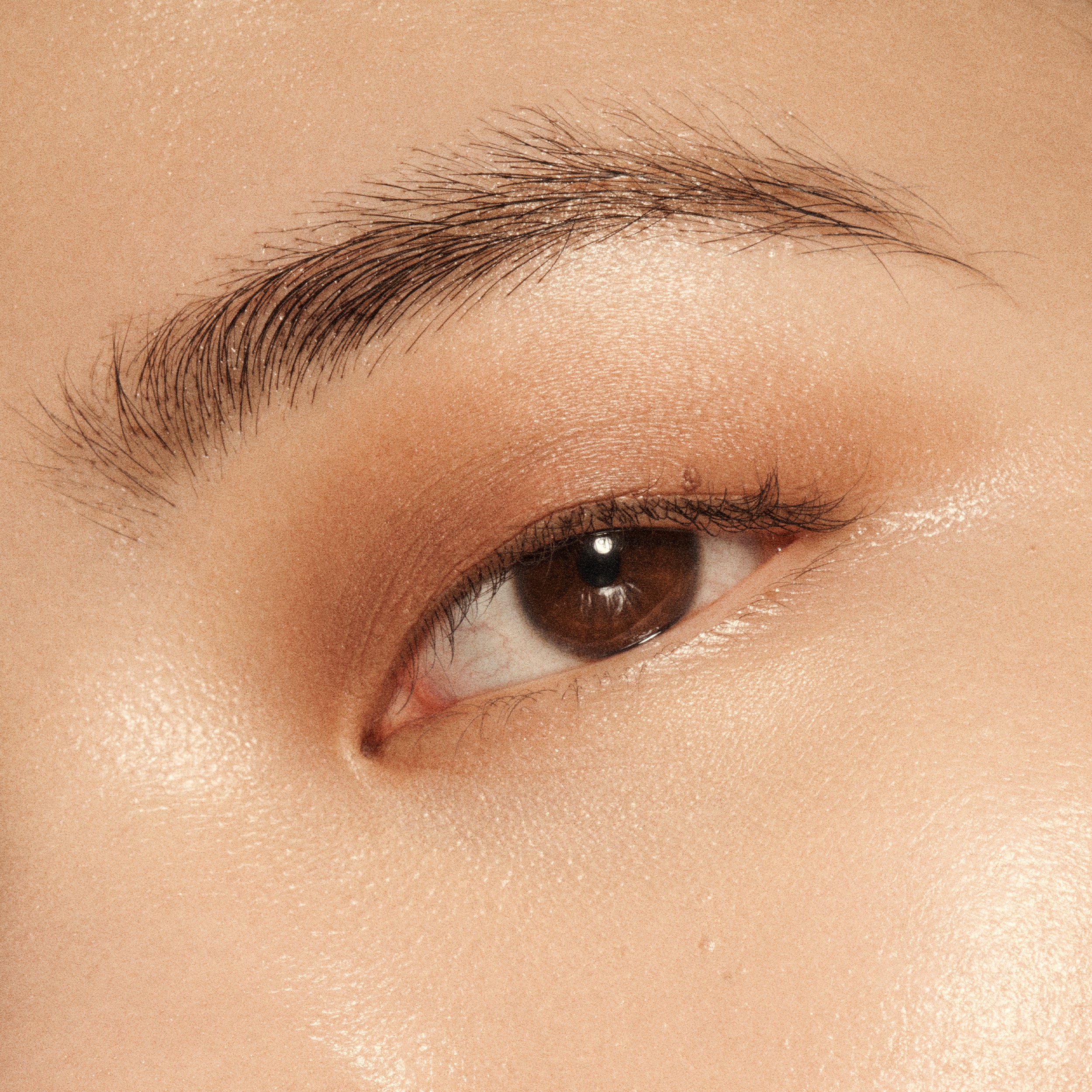 Eye Wand Hazelnut - Professional Makeup Brush for Eyeshadow & Blending - Perfect for Everyday Makeup & Special Occasions