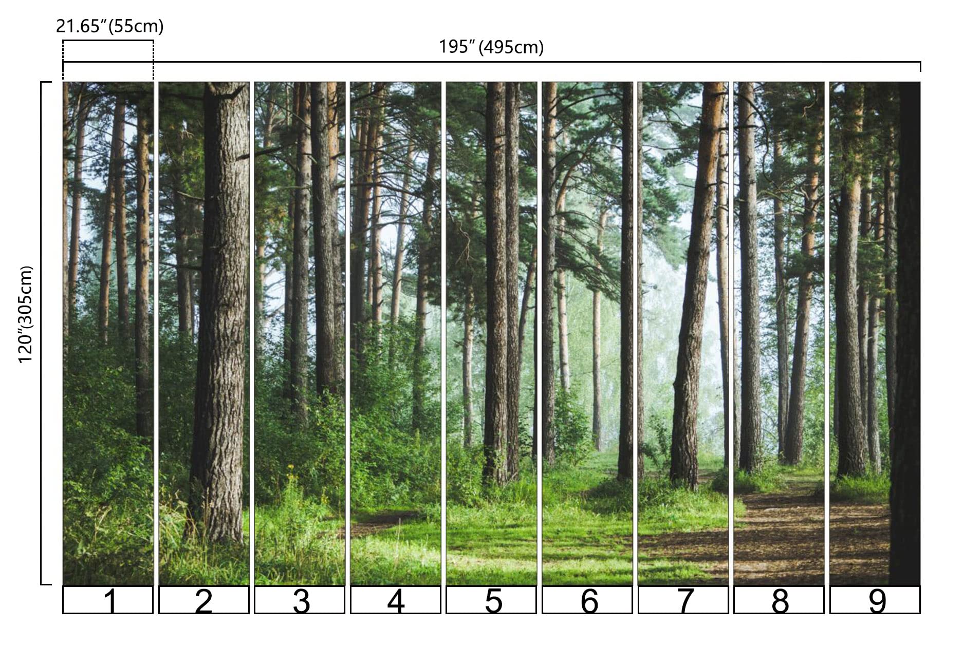 Bormia Forest Landscape Wall Mural Wallpaper - 195
