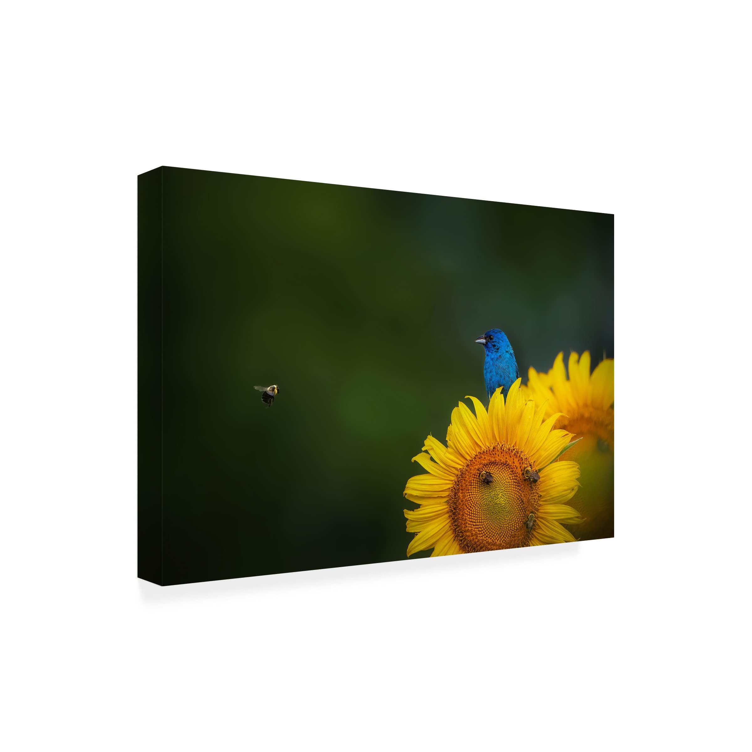 Trademark Fine Art 'Hi There' Canvas Wall Art by Ruiqing P - Modern Abstract Painting for Living Room, Bedroom & Office Decor