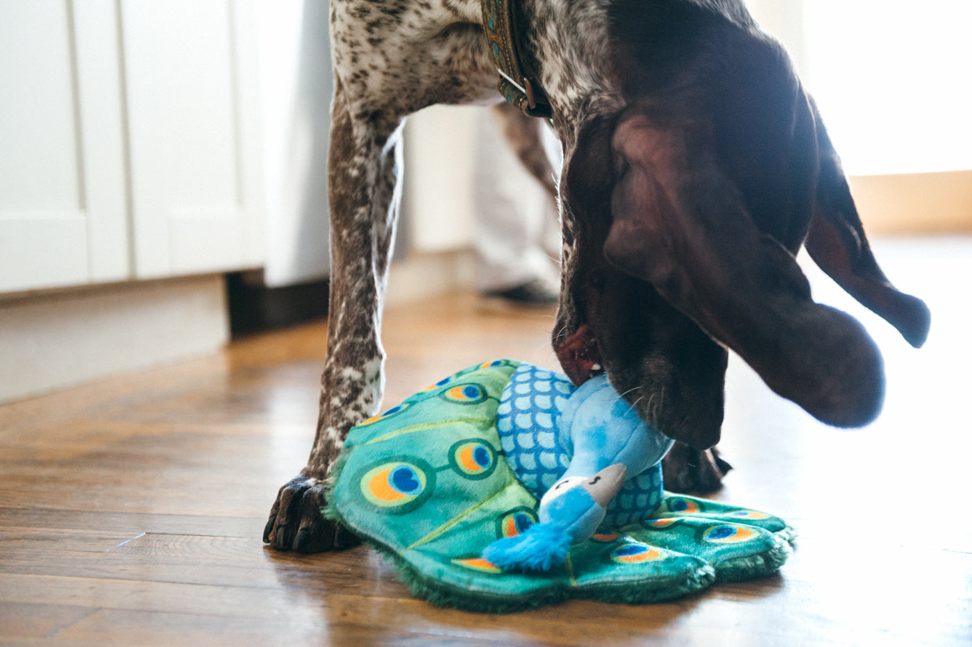Percy the Peacock Plush Dog Toy - Fetching Flock™ Interactive Chew Toy for Dogs | Soft & Durable Pet P.L.A.Y. Toy for Fetch, Tug-of-War & Cuddling | Perfect for Playtime, Training & Comfort