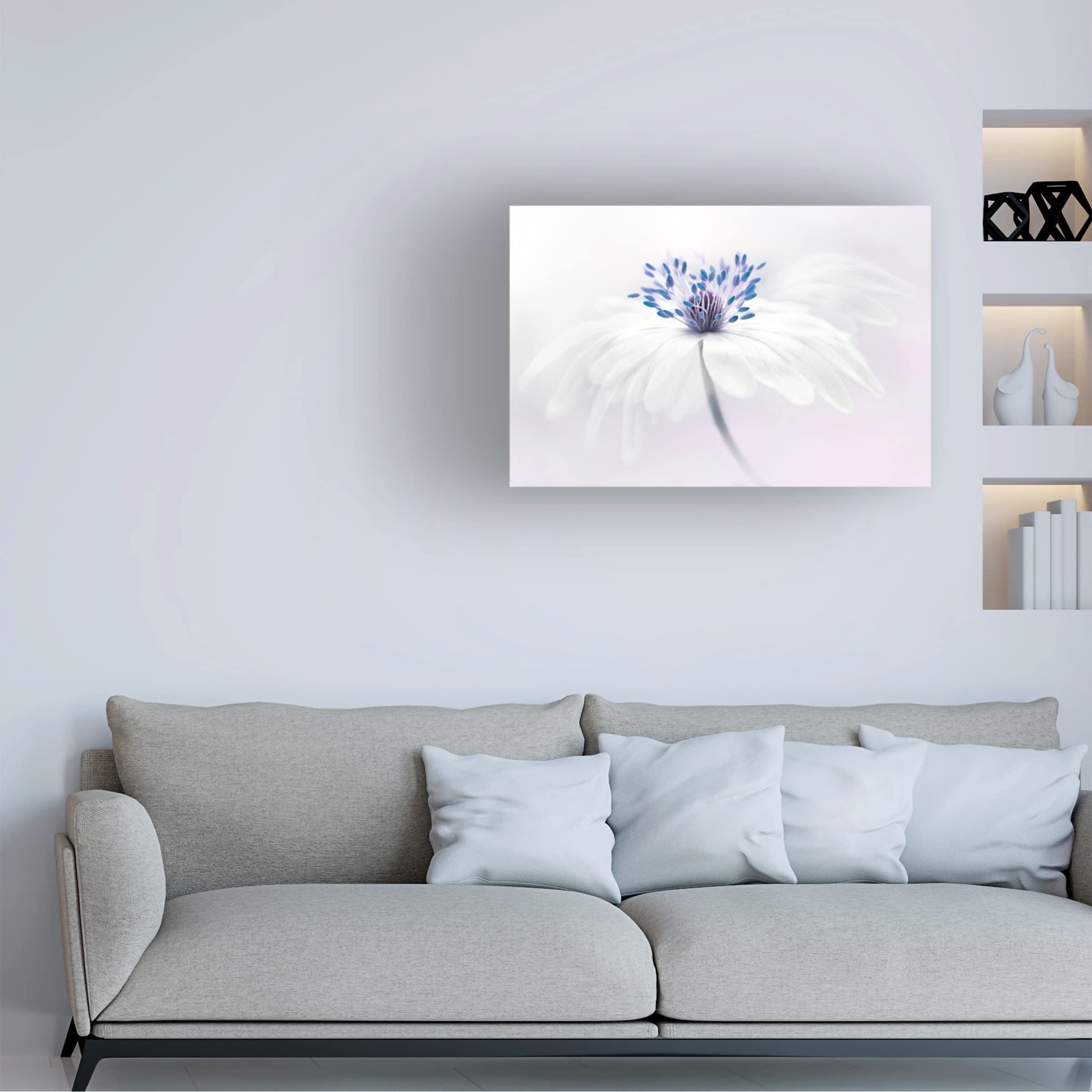 Jacky Parker 'Anemone Blanda' Floral Canvas Wall Art Print - Handmade Home Decor for Living Room, Bedroom & Office