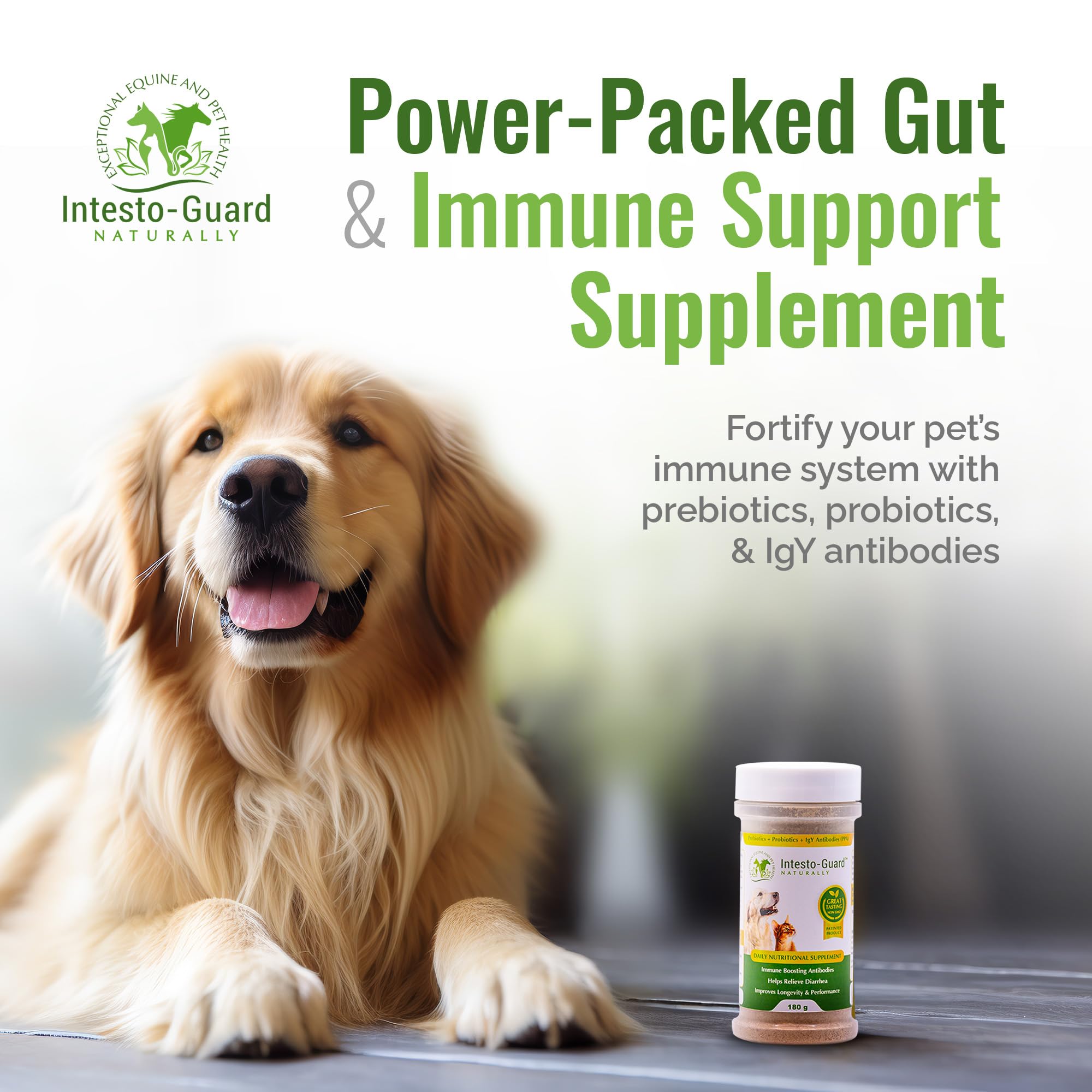 Premium Probiotic & Prebiotic Powder for Dogs & Cats - 180G All-Natural Digestive & Immune Support | Promotes Healthy Gut Flora & Nutrition | 90 Day Supply (6 Pack) - Ideal for Daily Pet Wellness & Digestive Health Maintenance