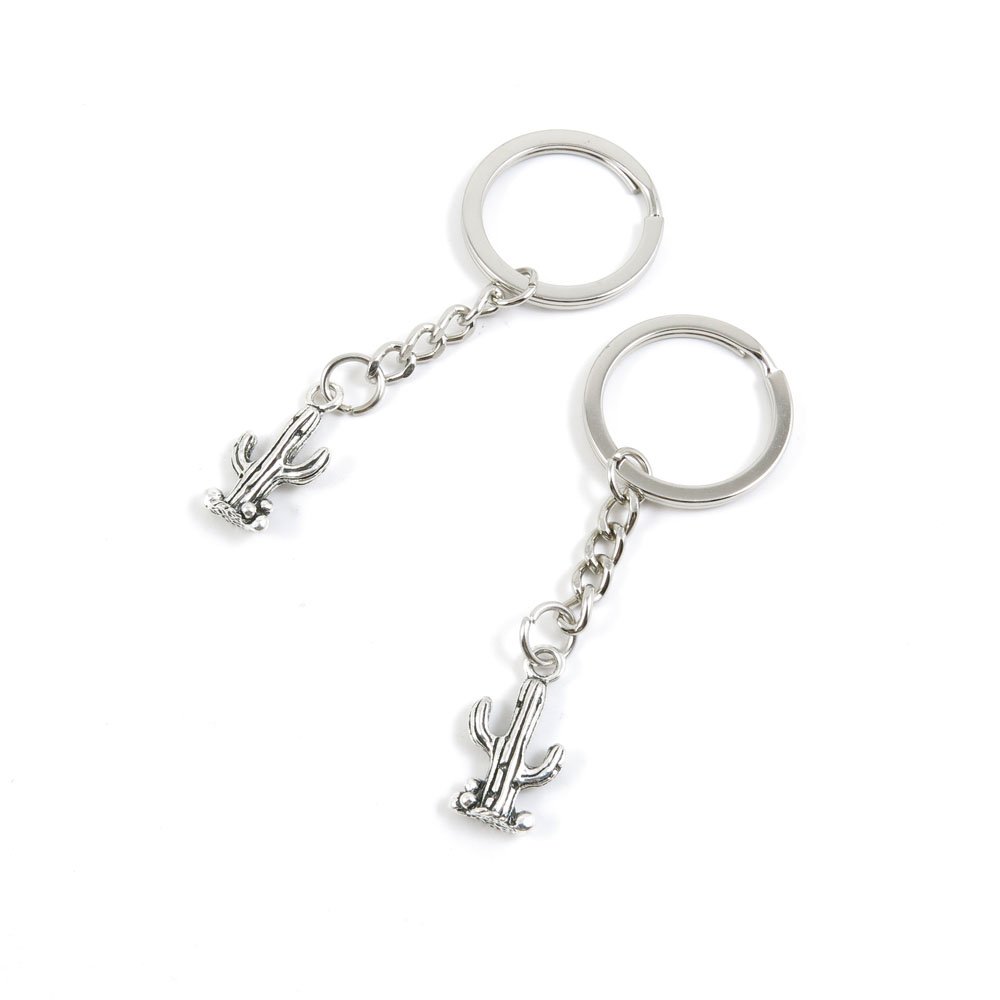 70 Pcs Fashion Jewelry Keychains - Bulk Wholesale Key Rings with Cactus Design for Women, Men, Gifts, Car & Home Decor (K4HC3) | Perfect for Party Favors, Wedding Souvenirs, Key Organization