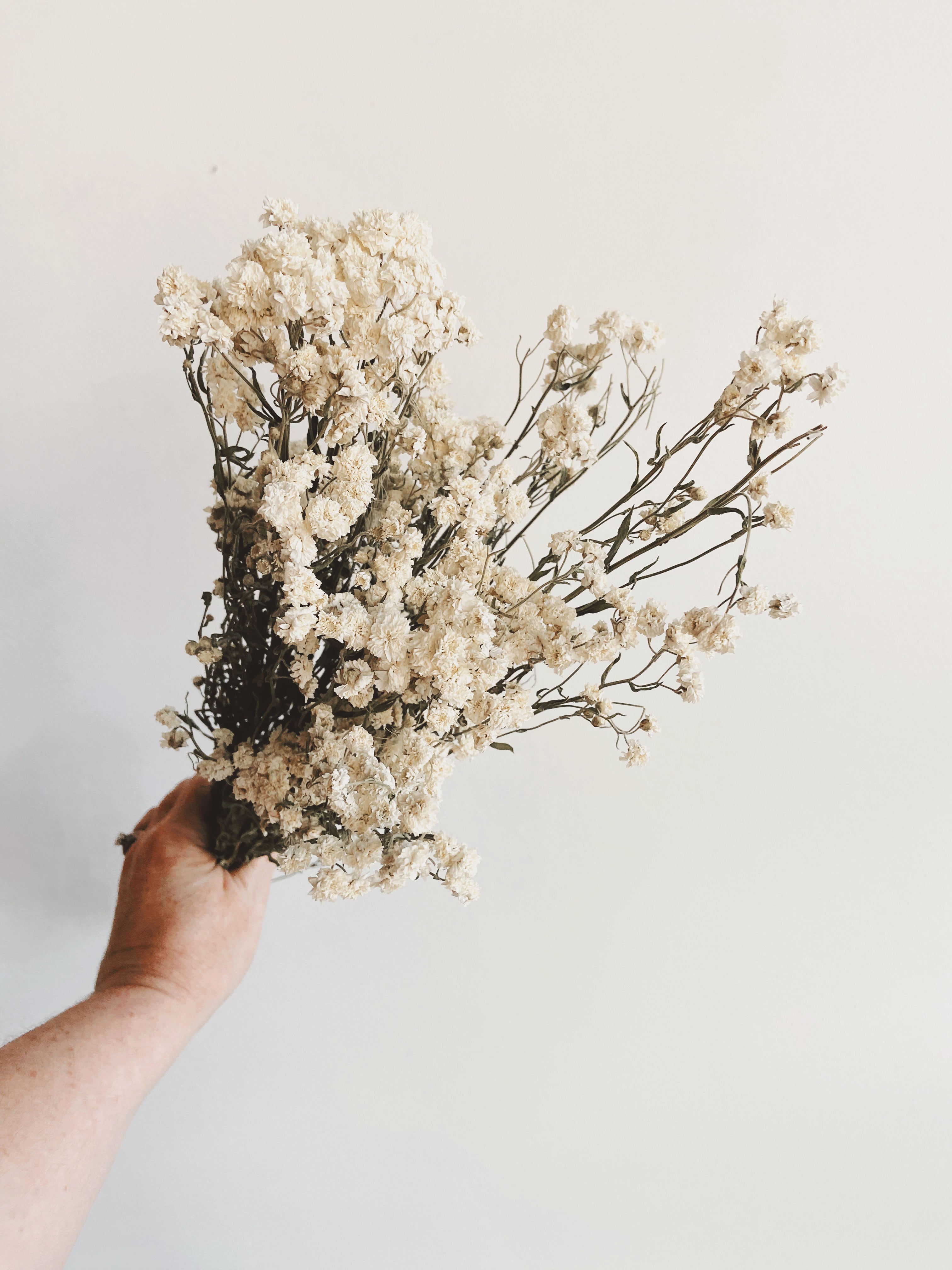 Dried Achillea Flowers | Angel Breath Bunch | Natural Dried Floral Decor for Home, Wedding, and DIY Crafts