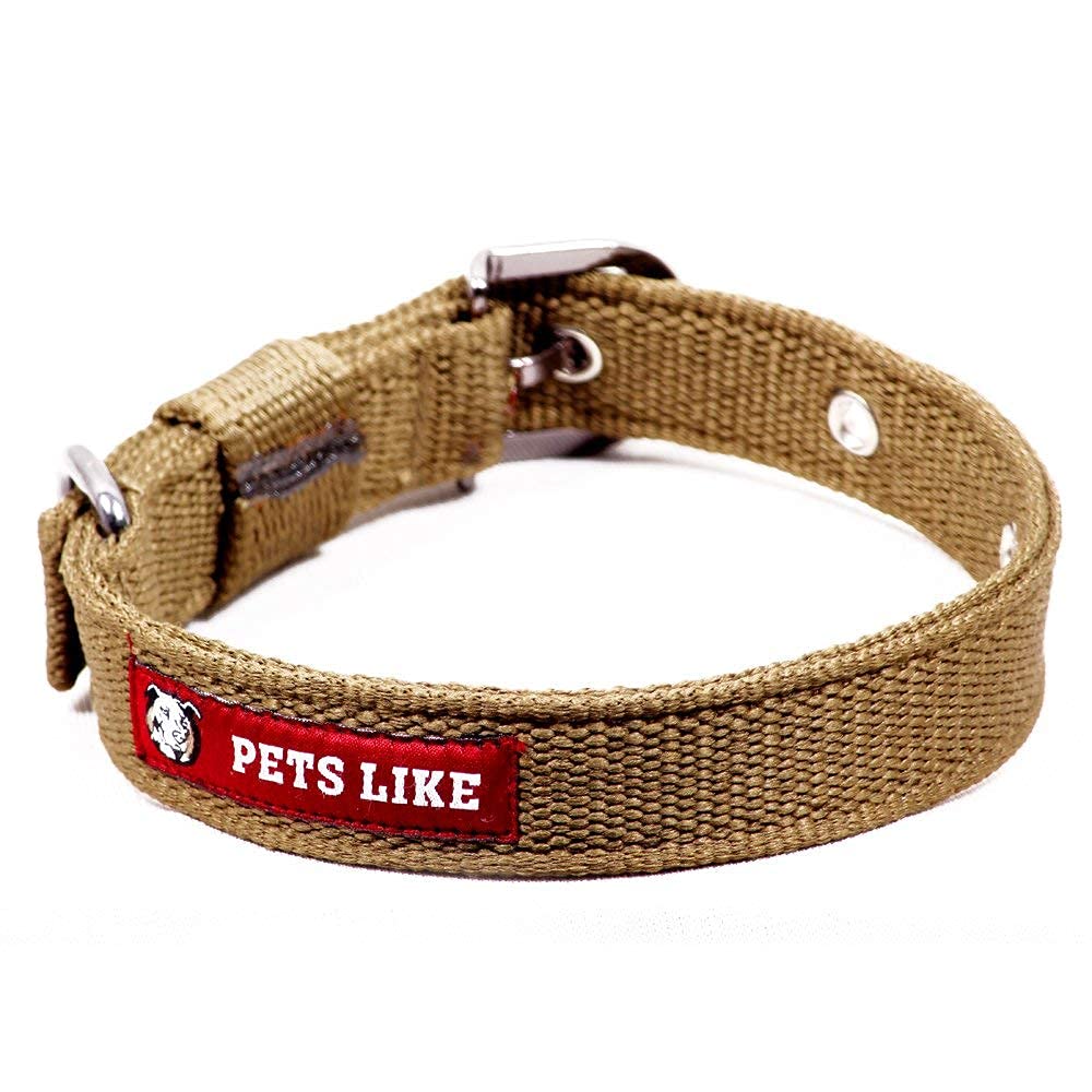 SNUNGPHIR Adjustable Plastic Dog Collar - Army Green (25mm) for Small & Medium Dogs - Durable & Comfortable Pet Accessory for Walking, Training & Outdoor Adventures