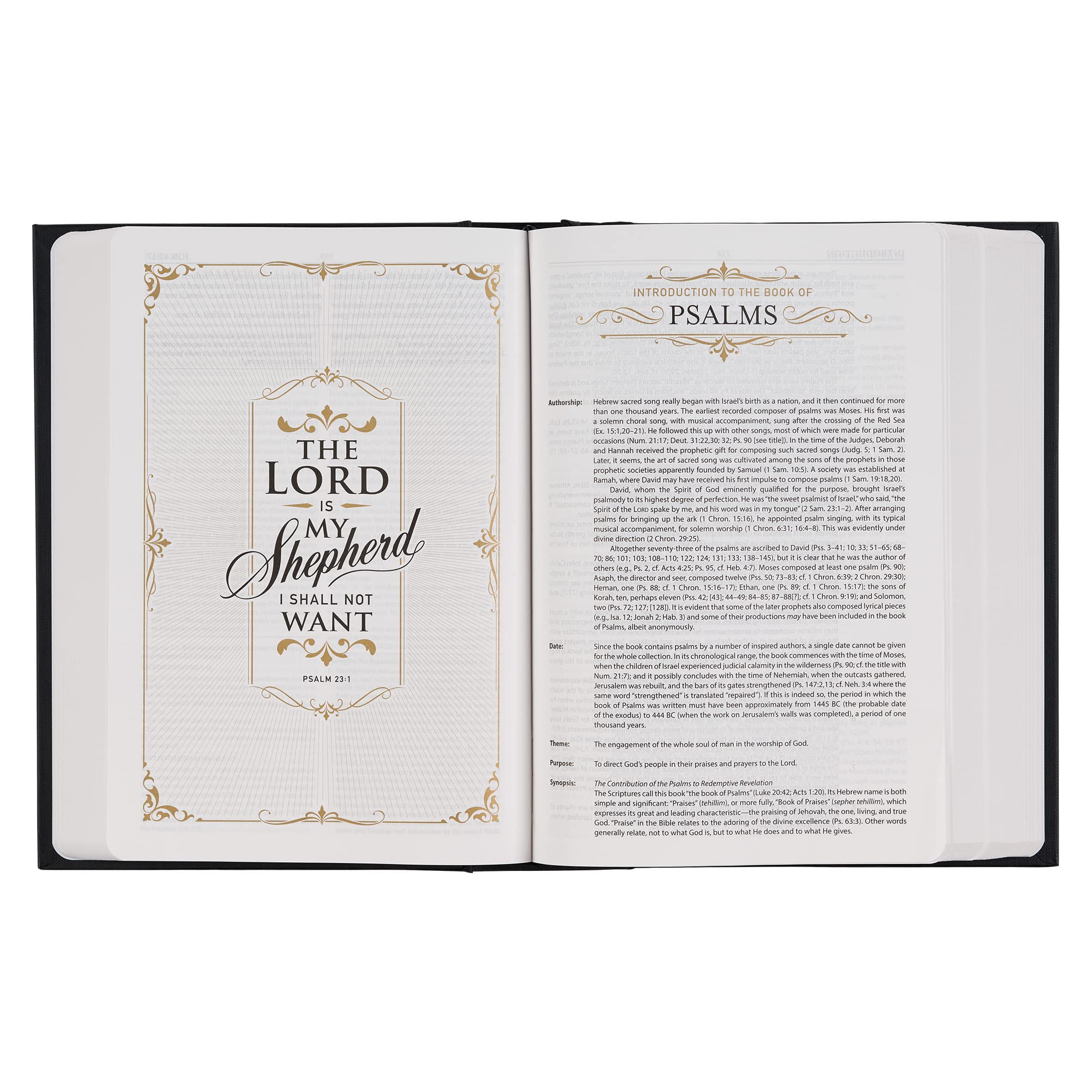 KJV Study Bible - Standard Print Hardcover, King James Version Holy Bible in Black | Perfect for Bible Study, Sunday School & Personal Devotion (KJV Standard Study Editions)