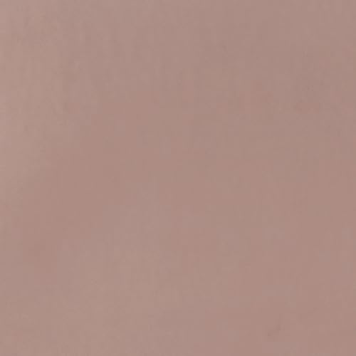 Sepia Rose