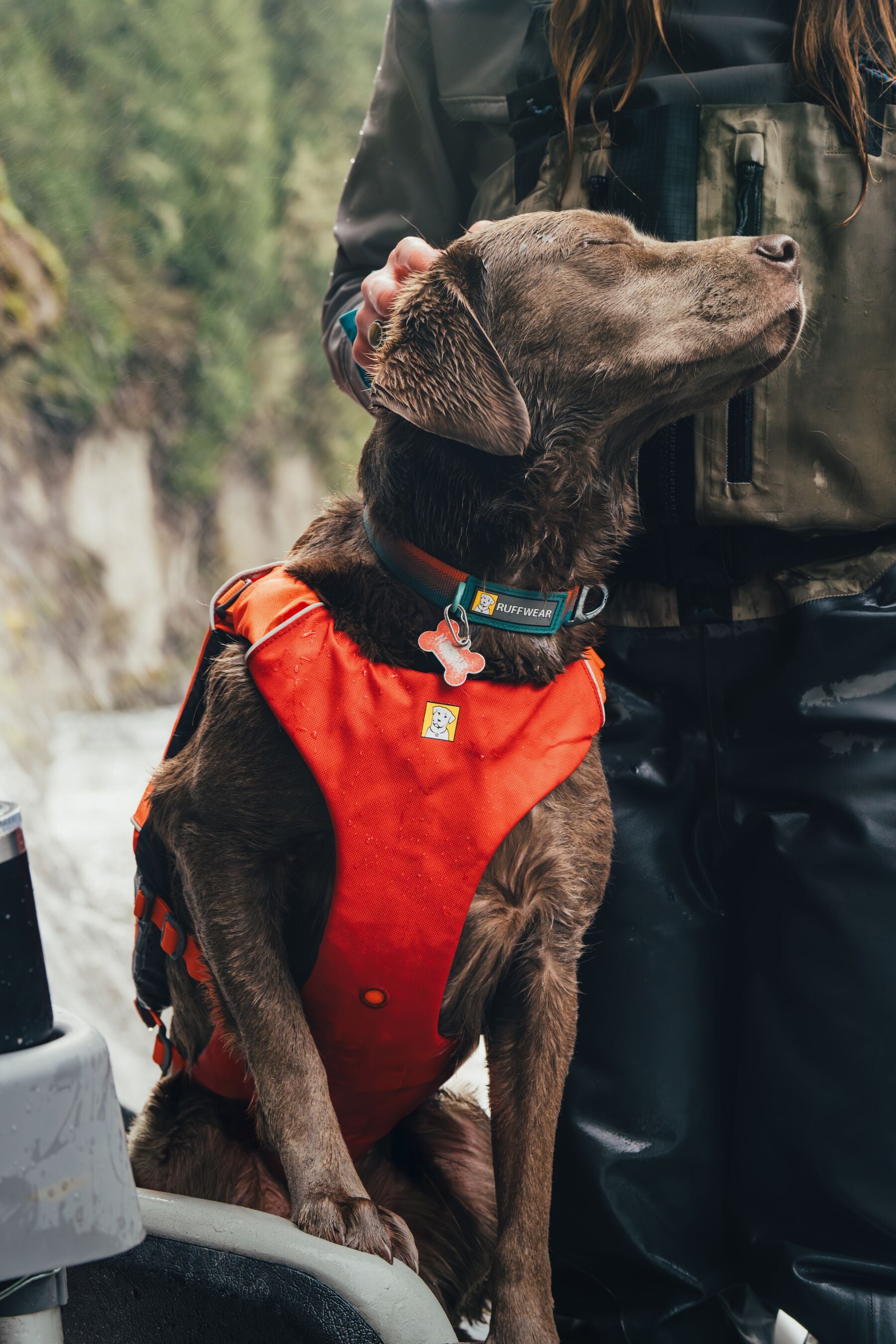 Ruffwear® Confluence™ Dog Life Jacket with Harness - Biolumin Blue | Water Safety Vest for Swimming, Boating & Outdoor Adventures