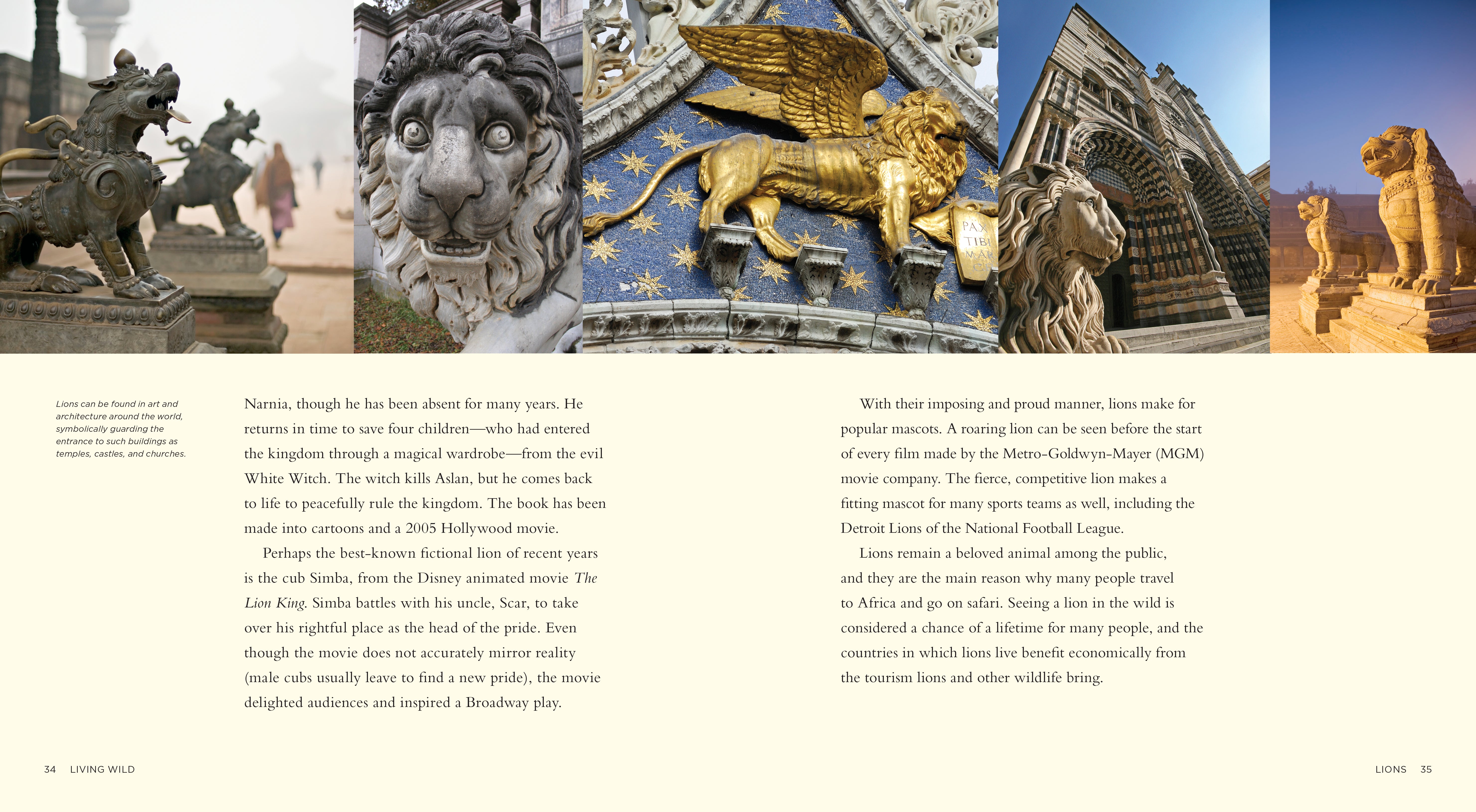 Lions Book ISBN 978-1-58341-656-3 - Wildlife Education & Animal Encyclopedia for Kids & Adults - Perfect for School Projects, Home Learning & Nature Enthusiasts