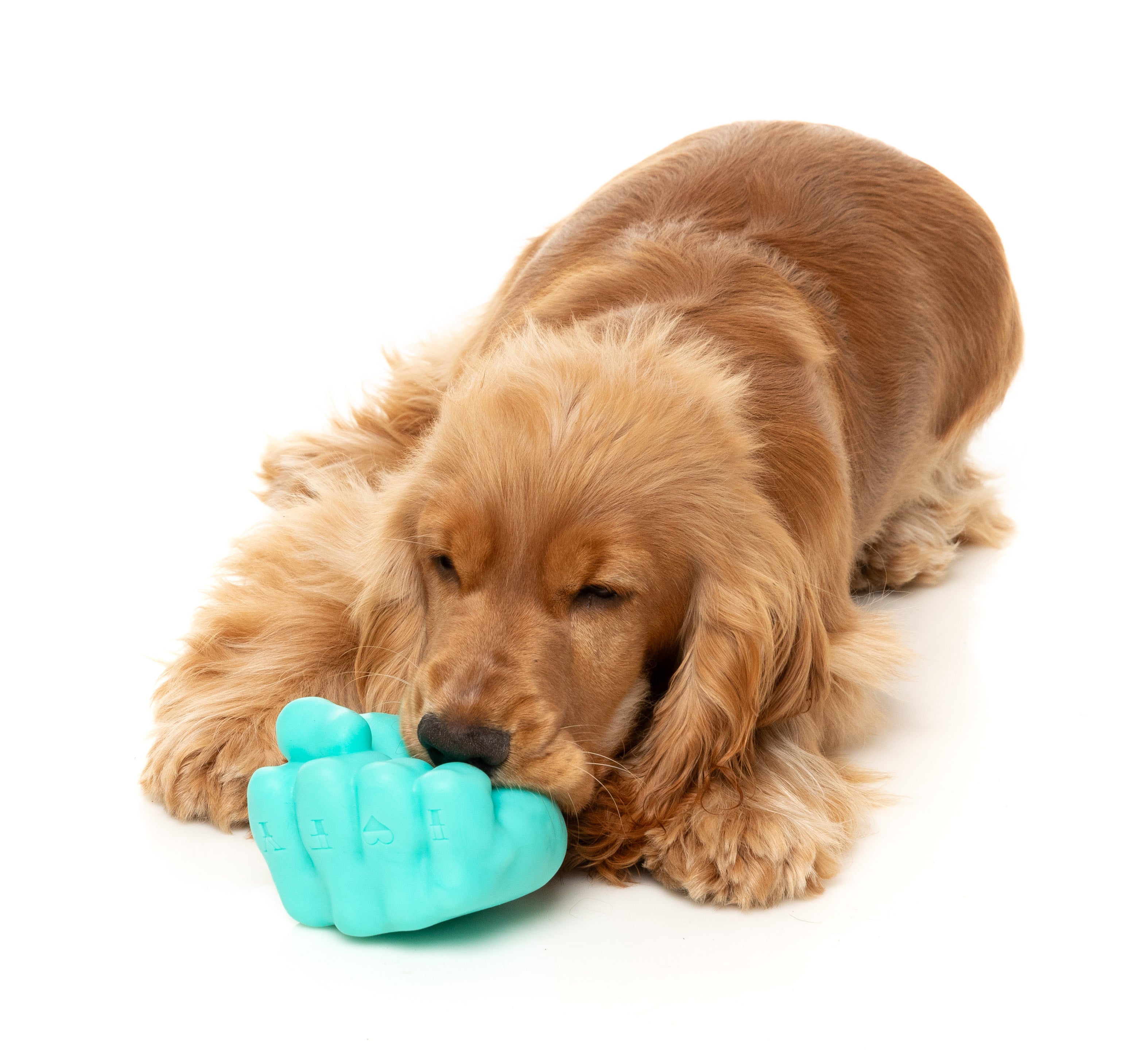 Fuzzyard Interactive Dog Chew Toy with Treat Dispenser - Knuckle Sandwich Design for Boredom Relief & Dental Health | Perfect for Training, Playtime & Anxiety Relief