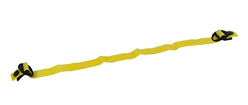 Yellow: X-Light
