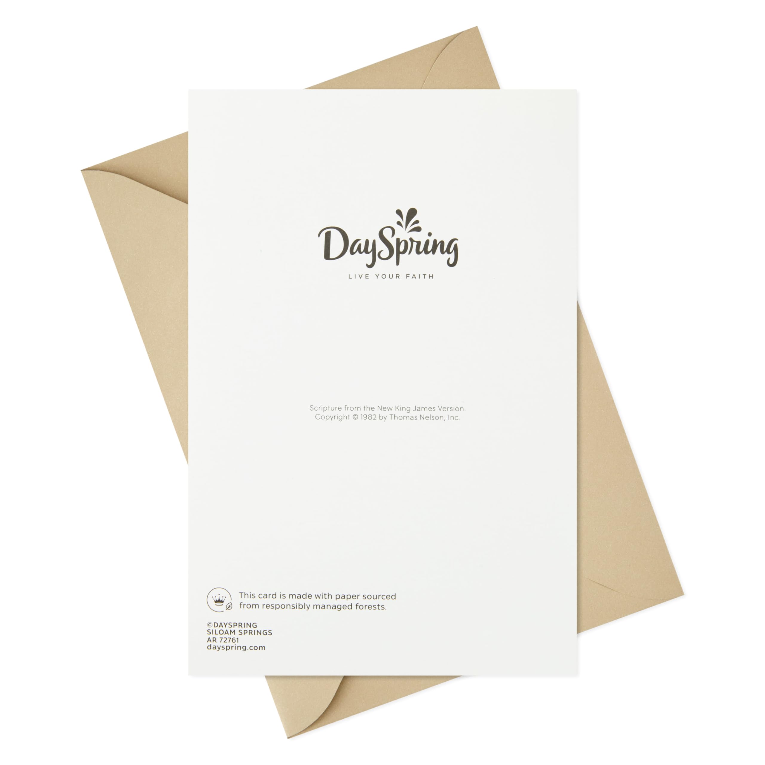 Dayspring Religious Thank You Card for Minister - Clergy Appreciation, Birthday & Encouragement (Making a Difference) | Perfect for Pastors, Priests & Church Leaders