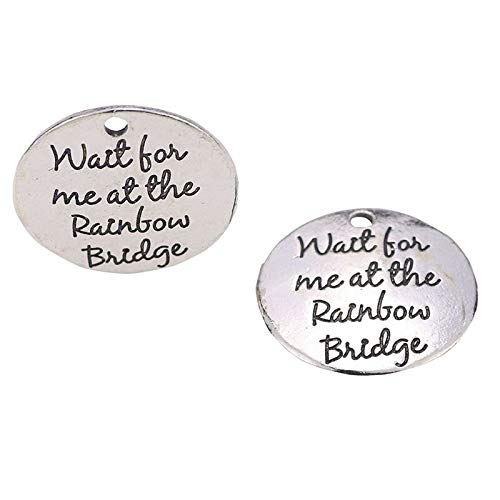 10 Pack Handmade Alloy Rainbow Bridge Memorial Charms - Antique Round DIY Pendants for Bracelet Making, Pet Loss Gift & Keepsake Jewelry Crafting