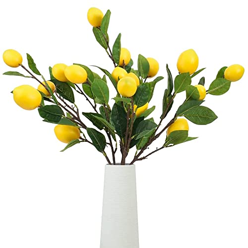2pcs Lemon Branches