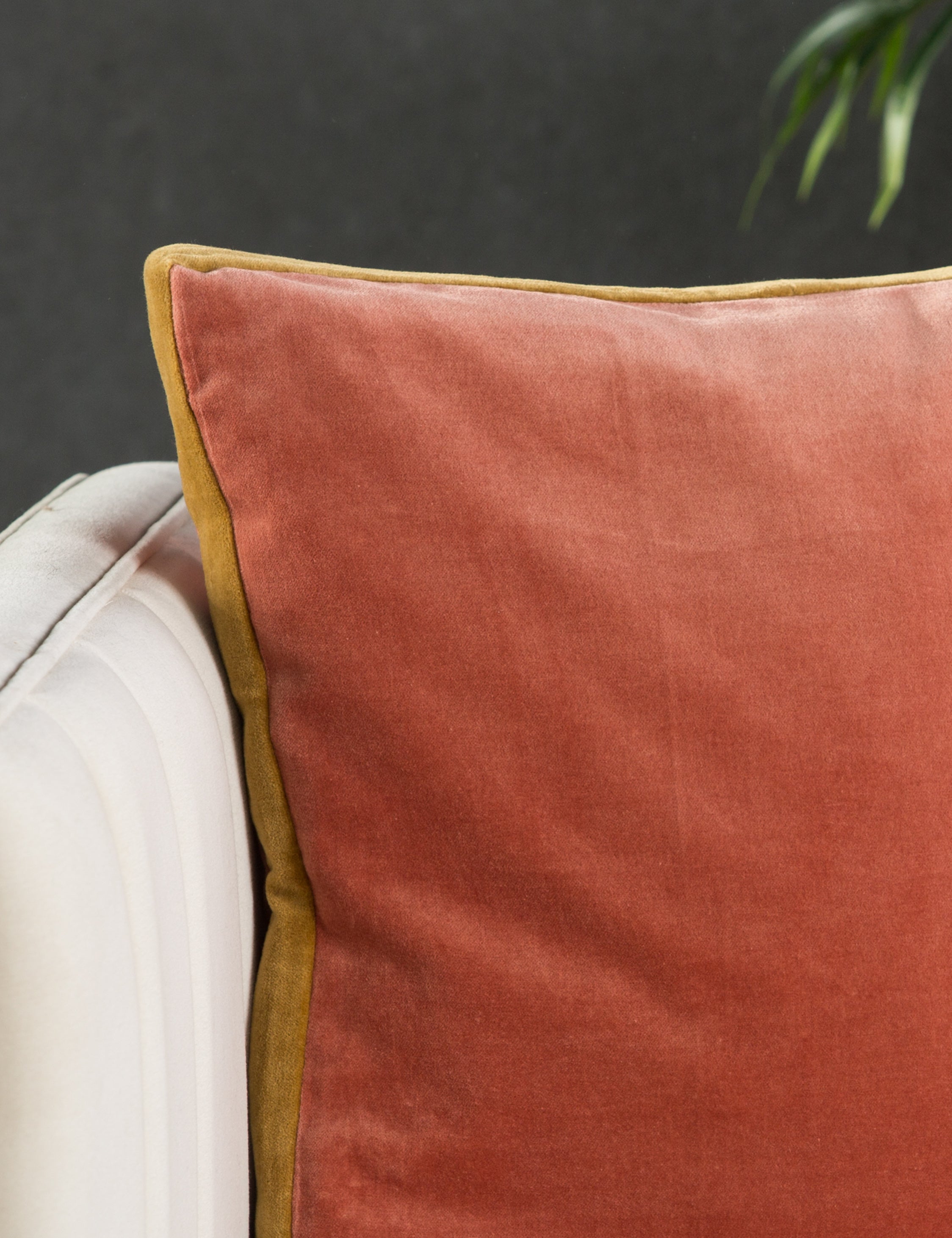 Bryn Pillow By Jaipur Living - Premium Decorative Throw Pillow for Sofa, Bed & Home Decor - Perfect for Living Room, Bedroom & Cozy Spaces