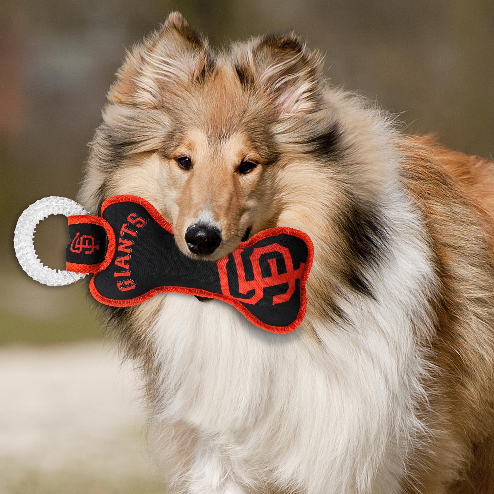 MLB San Francisco Giants Bone Shaped Dog Chew Toy with Squeaker - Durable Dental Tug Toy for Puppy Teething, Teeth Cleaning & Gum Health - Perfect for Playtime, Training & Interactive Fun