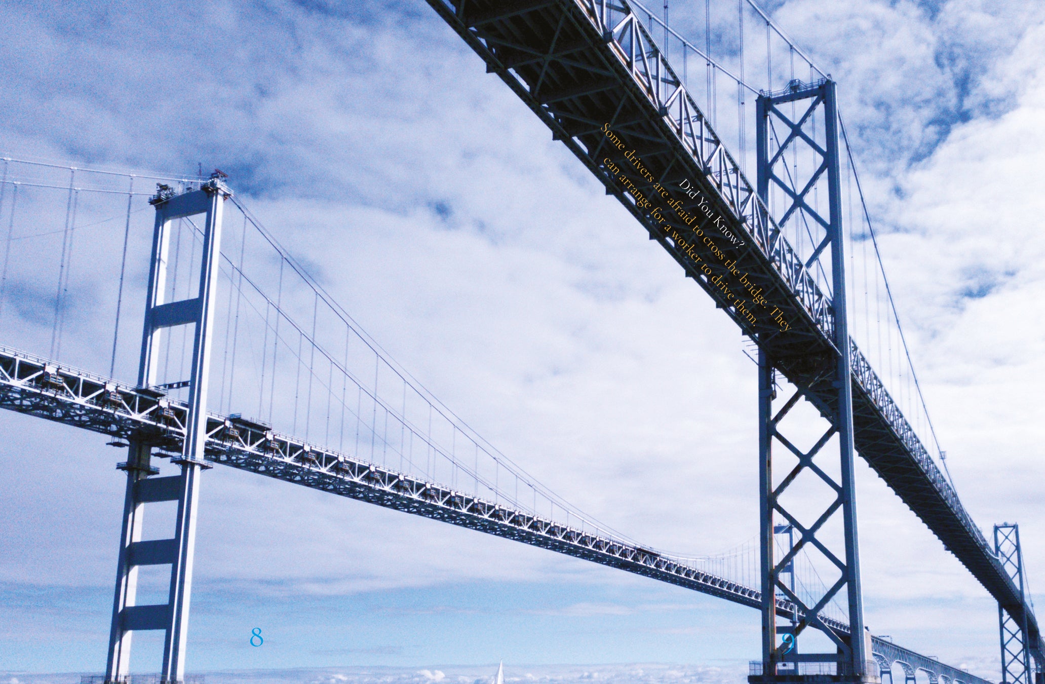 Amazing Bridges: Engineering Wonders Book (ISBN 9781632357878) - Perfect for Students, Engineers & Architecture Enthusiasts