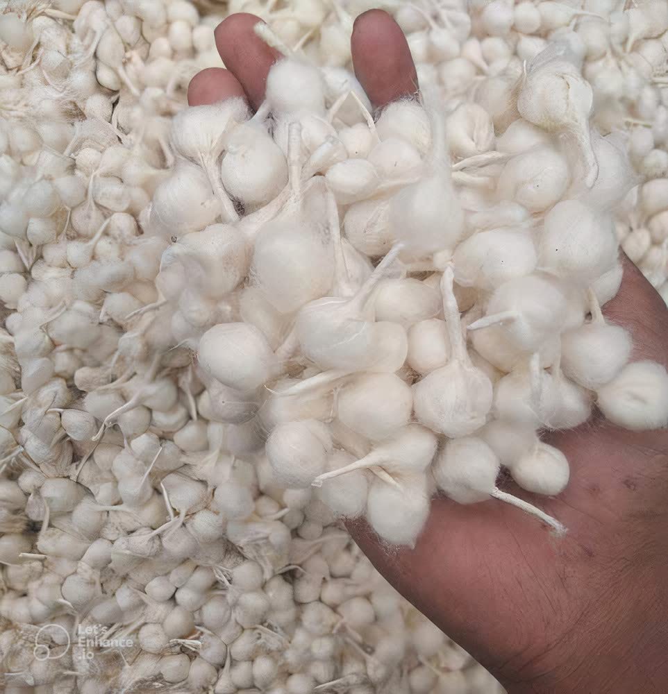 SR Traders 600-Pack Round Cotton Wicks for Puja & Diya - Pure Cotton Pooja Aarti Wicks for Hindu Rituals, Prayer Lamps, and Spiritual Ceremonies