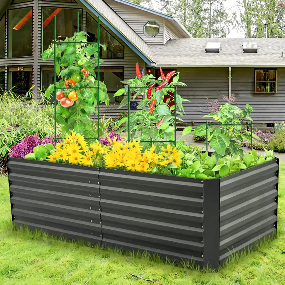 Elevated Raised Garden Bed Kit for Vegetables, Herbs & Flowers - Durable Outdoor Planter Box for Backyard, Patio & Balcony Gardening