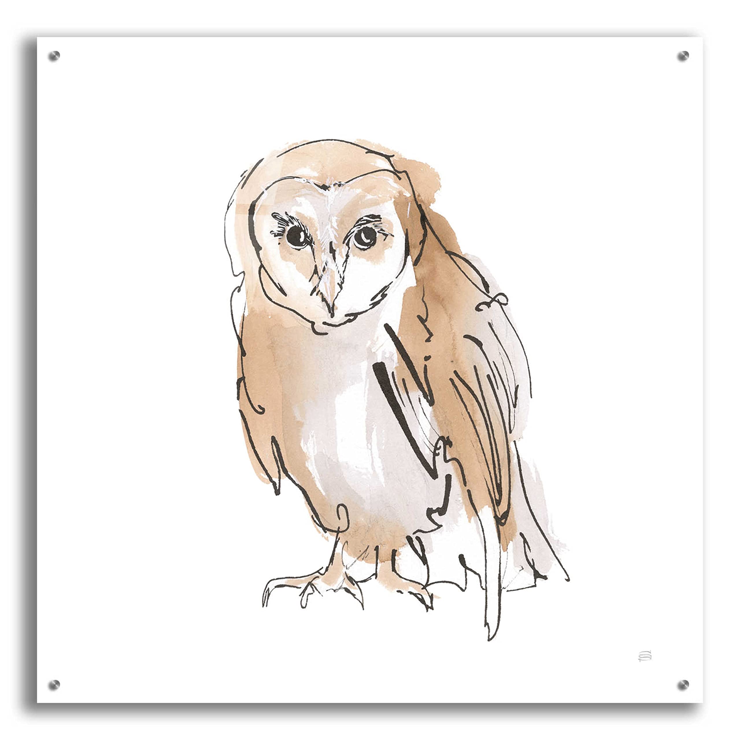 Chris Paschke 'Barn Owl VII' Acrylic Glass Wall Art - 36x36 Inches Modern Home Decor for Living Room, Bedroom & Office