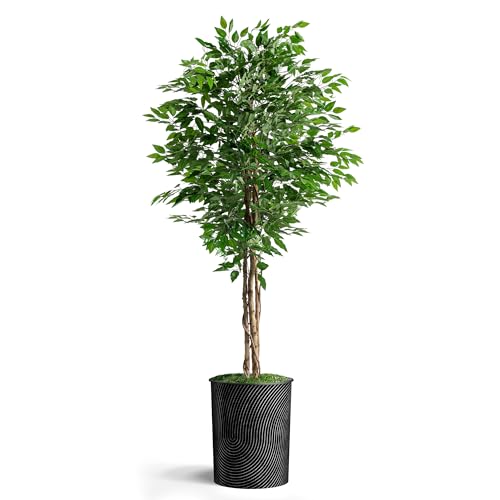 Geometric Spiral Pattern Planter